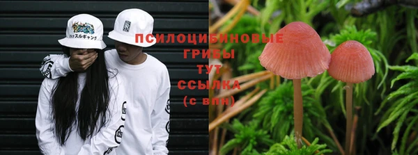 мескалин Аркадак
