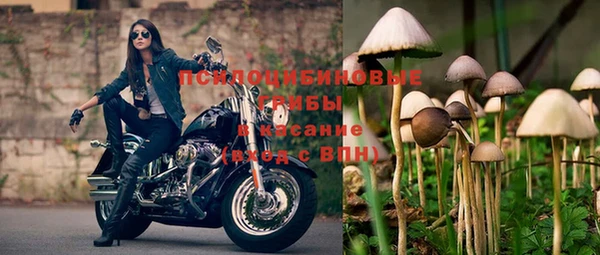 винт Армянск