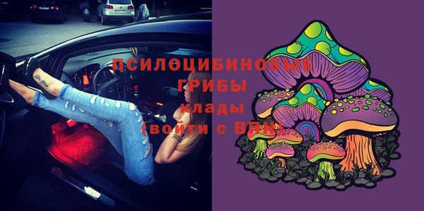 винт Армянск
