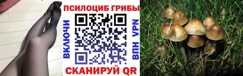 мега ONION  хочу наркоту  Рыбное  Псилоцибиновые грибы Psilocybine cubensis 